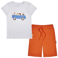 Комплект для мальчика из футболки и шорт
