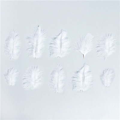 Набор перьев для декора 10 шт., размер 1 шт: 10 × 2 см, цвет белый