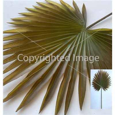 Лист пальмы осень 58 см № 1405