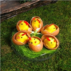 Сувенир пасхальный "Цыплята в яйце на травке" набор 6 шт 4,5х14х14 см