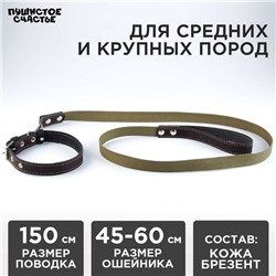 Комплект : ошейник (45-60х2.5 см) кожаный и поводок (150х2.5 см) брезентовый, цвет чёрный