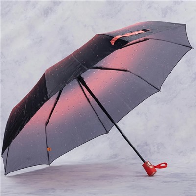 зонт 
            35.FCS2002-03