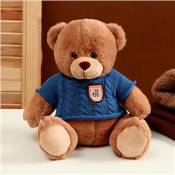 Мягкая игрушка "Медведь" в свитере, 25 см, цвет МИКС
