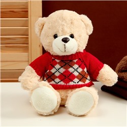 Мягкая игрушка "Медведь" в кофте с ромбиками, 25 см, цвет МИКС