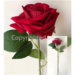Ветка  розы Вишня бархат 60 см