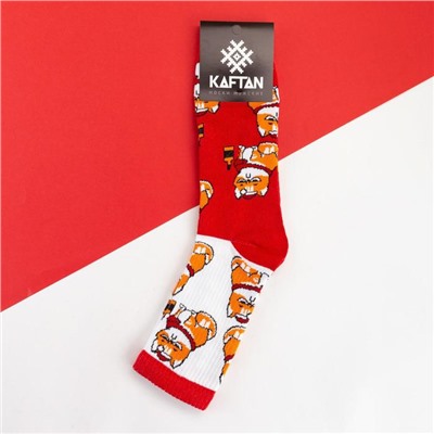 Носки новогодние мужские KAFTAN "Кот" размер 41-44 (27-29 см), цвет красный