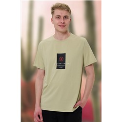 футболка мужская 2914-20 Новинка