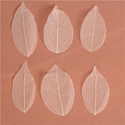 Сухие листья, (набор 5 шт), размер 1 шт:: 8×5 см, цвет белый