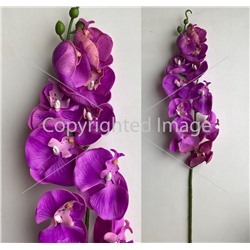 Ветка орхидеи ФИОЛЕТОВАЯ 90см