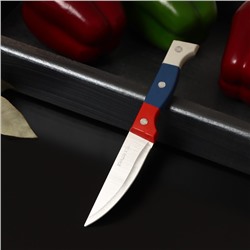 Нож кухонный Доляна «Триколор», лезвие 8,5 см
