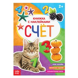 Книга с наклейками «Счёт», 12 стр.