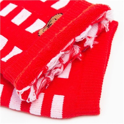 Носки детские махровые, цвет красный/белый, размер 16