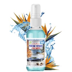 Ароматизатор СПРЕЙ (140мл) Perfume Voyager Cool Water (Холодная вода)