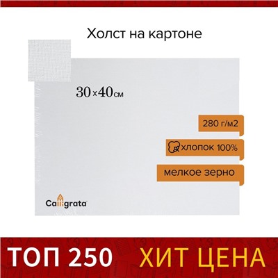 Холст на картоне Calligrata, хлопок 100%, 30 х 40 см, 3 мм, акриловый грунт, мелкое зерно, 280 г/м2