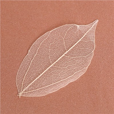 Сухие листья, (набор 5 шт), размер 1 шт:: 8×5 см, цвет белый