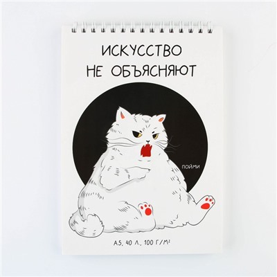 Скетчбук А5, 40 л 100 г/м2 "Кот"