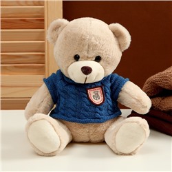Мягкая игрушка "Медвежонок" в свитере, 25 см, цвет МИКС