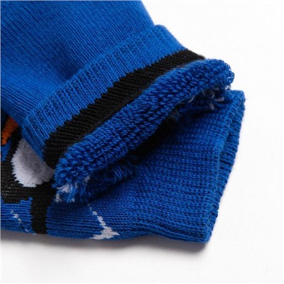 Носки детские махровые, цвет синий, размер 10