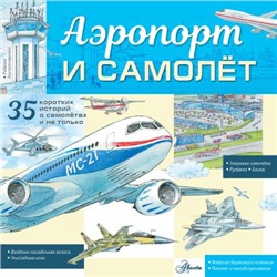 Малов Владимир Игоревич: Аэропорт и самолёт