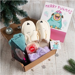 Набор подарочный Этель Merry pugmas полотенце 30х60см и аксс (4 предм)