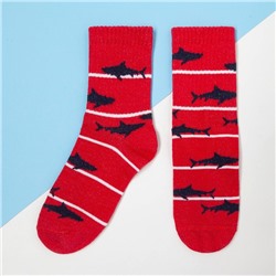 Носки детские KAFTAN «Акулы», размер 14-16, цвет красный