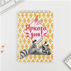 Скетчбук «Енот» А5, 40 л, 100 г/м